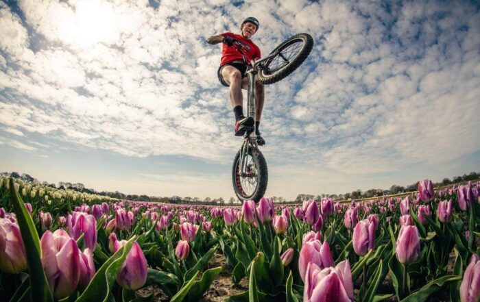 Wat houdt een trial demonstratie in?